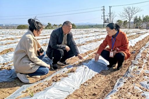 河南许昌强化下层监督治理分域实施 统筹鼓励